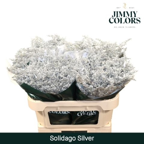 <h4>Solidago L70 Metallic Silver</h4>