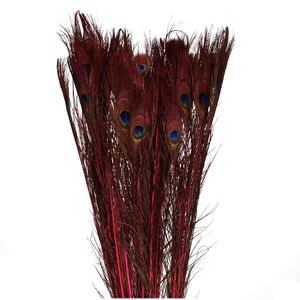 Veren Pauw 100cm