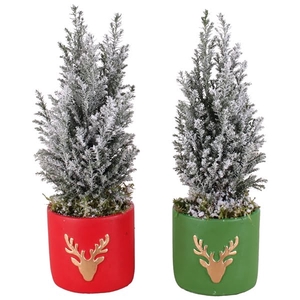 Christmas Arr.Outdoor Ceram. Pot round reindeer red/gre 11cm 1PP