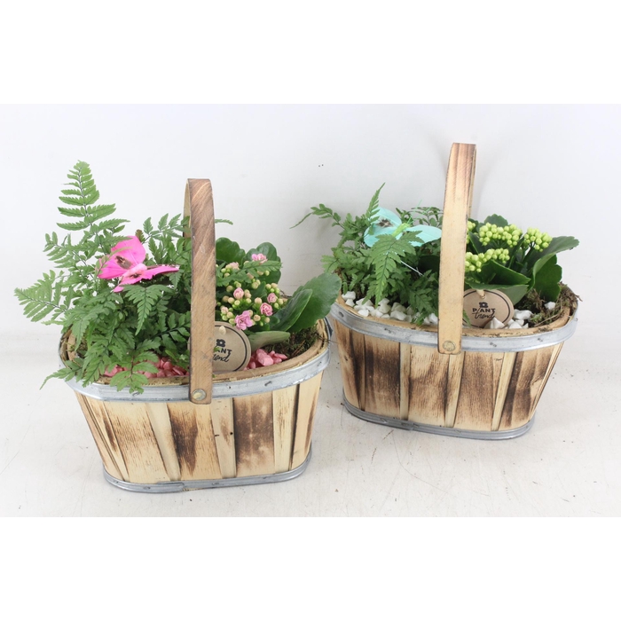 <h4>Arr2 Pl - Hout Ovaal Hengsel - Roze/wit</h4>