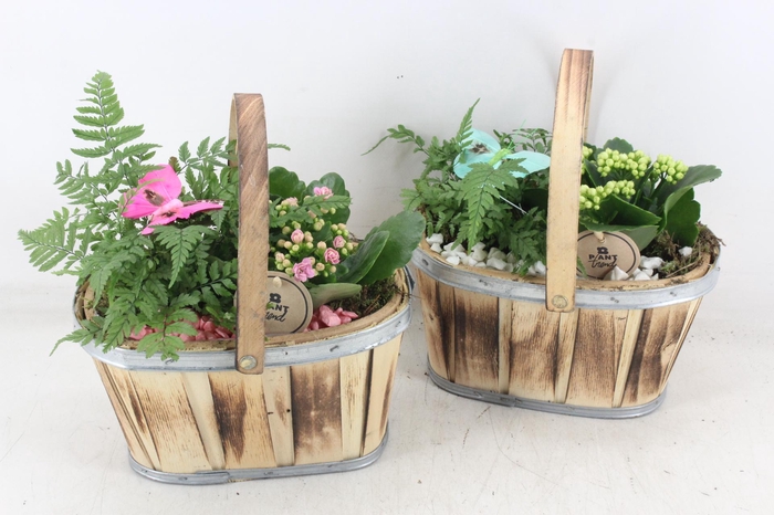 <h4>arr2 PL - Hout ovaal hengsel - roze/wit</h4>