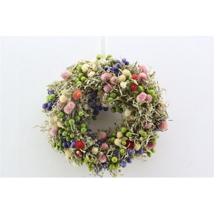 Wr Sierfruit Gomphrena Mix 30cm