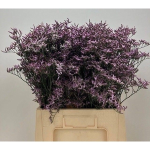 LIM SONS SAFORA LILA 35gr