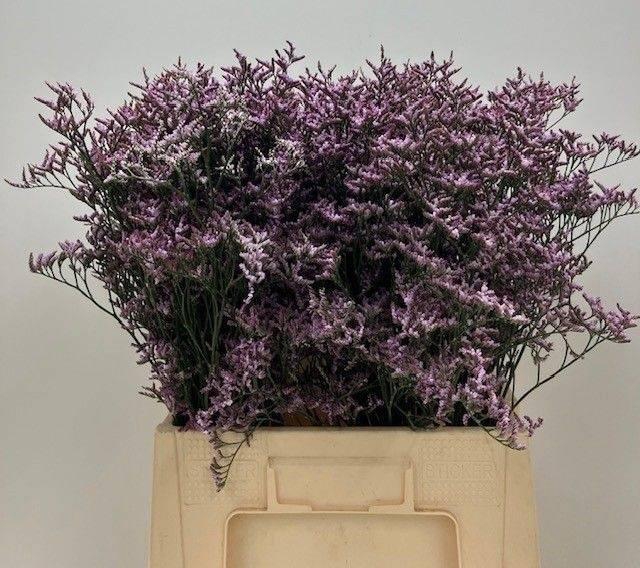 <h4>LIM SONS SAFORA LILA 35gr</h4>