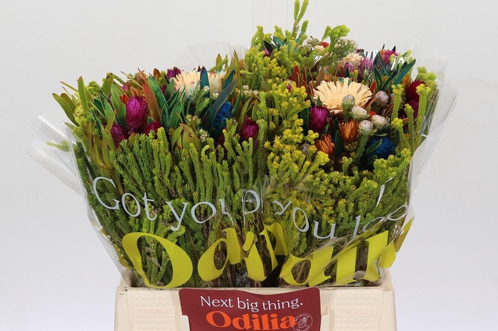 <h4>BQ Cape Green Mandarin</h4>