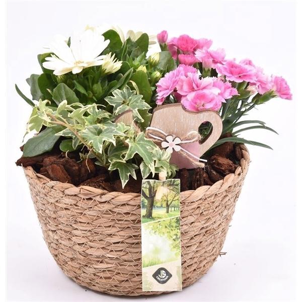 <h4>Touwmand naturel 18cm</h4>