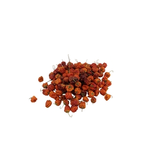 Fruit Chilli Round Small Orange