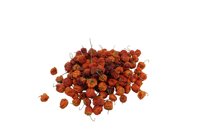 Fruit Chilli Round Small Orange