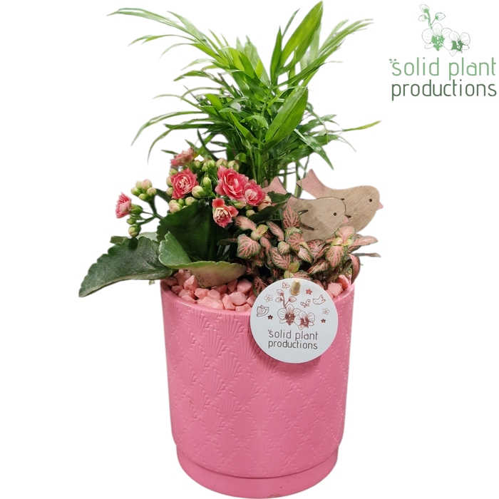 <h4>CH001 Amy Pink</h4>
