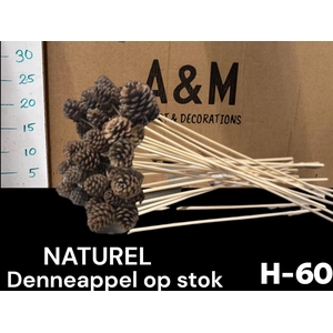 DENNENAPP OP STOK H%