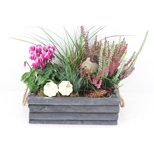 arr4 Outdoor VL - Hout grijs latjes rechth. x3