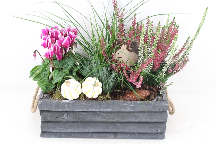 <h4>arr4 Outdoor VL - Hout grijs latjes rechth. x3</h4>