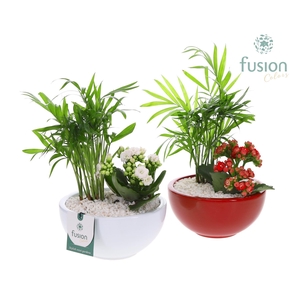 Schaal keramiek Moon Small wit en rood met arrangement