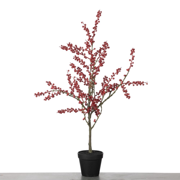 AF Ilex Plant in Pot L78cm Red