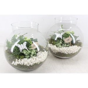 arr2 PL - Glas bol nek XL - wit