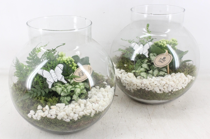 <h4>arr2 PL - Glas bol nek XL - wit</h4>