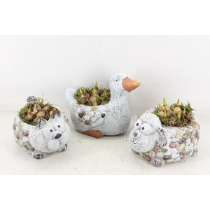 arr4 Bollenmix PL - Dierenmix 338/6