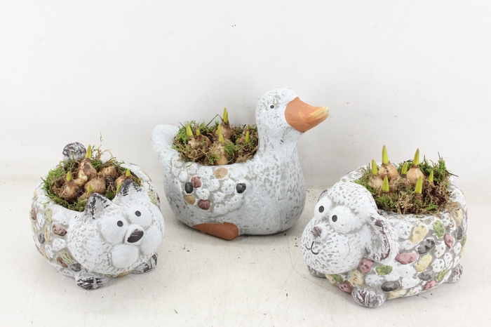 <h4>arr4 Bollenmix PL - Dierenmix 338/6</h4>