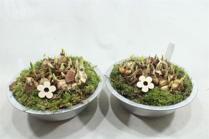 <h4>6902 ZINK BM</h4>