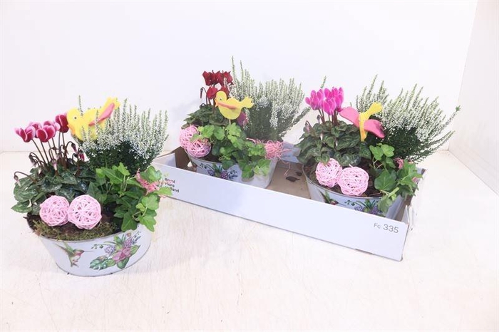 <h4>ARR TUINPLANTEN</h4>