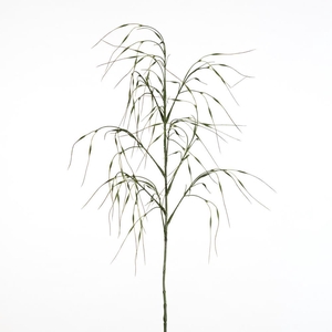 AF Panicum L109cm green