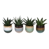 ALOE MIX P6 L 65408