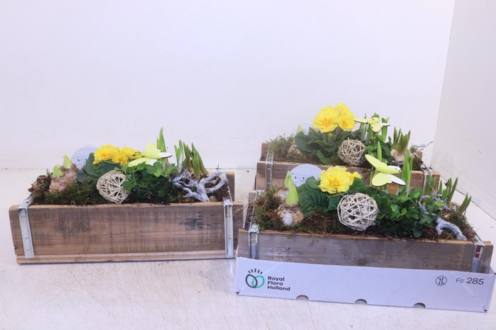 <h4>ARR TUINPLANTEN</h4>