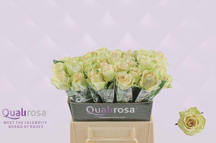 <h4>R Gr Hypnose</h4>