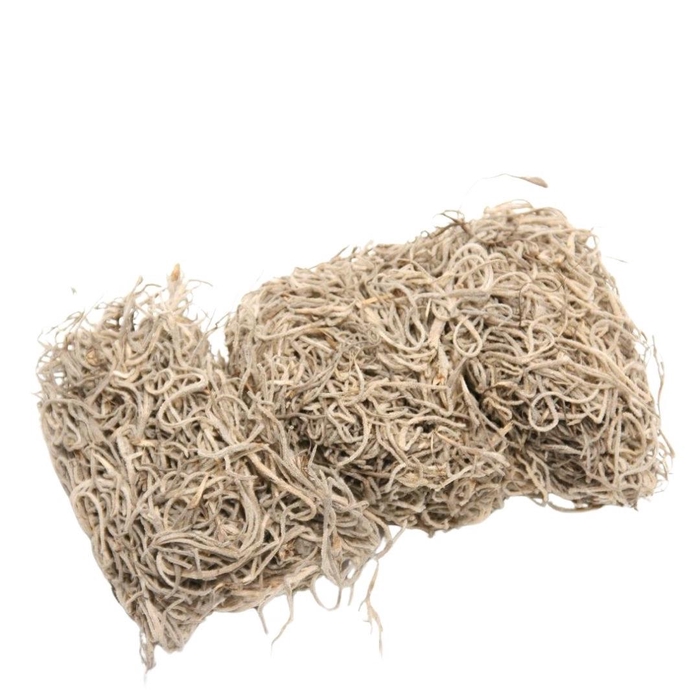 <h4>Dried articles Tillandsia moss 80g</h4>
