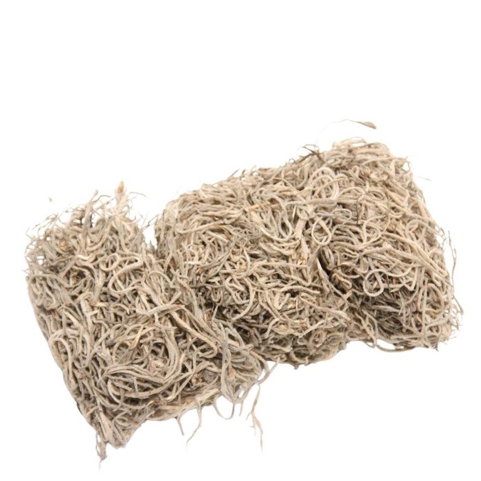 <h4>Dried articles Tillandsia moss 80g</h4>