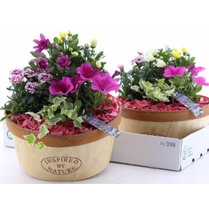 ARR TUINPLANTEN