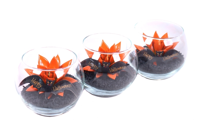 <h4>Opgemaakte boule glas met echeveria, steentjes en vleermuis</h4>