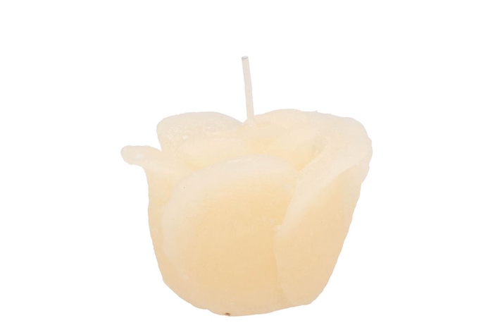 <h4>Candle Roos Ivory 8x7cm</h4>