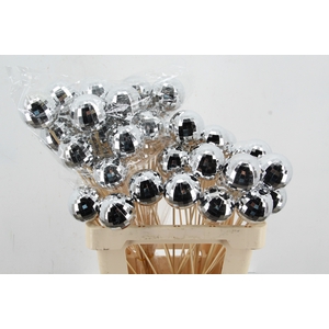 Stick Ball Mirror C. Ø6 Silver