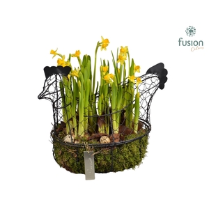 Metaal rek met Narcis Tat