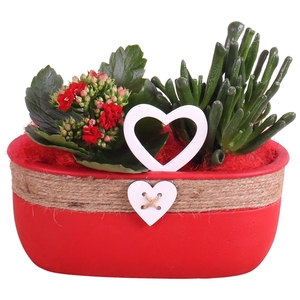 Valentine Arr. Indoor Ceramic Pot Oval Rope Heart Red Ø24cm 2PP