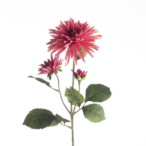 AF Dahlia L71cm Red