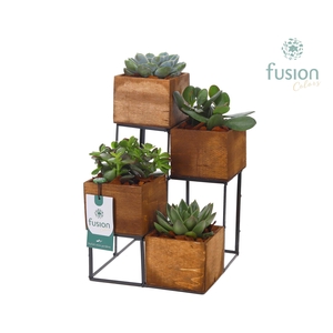 Tower hout met metaal met Succulenten
