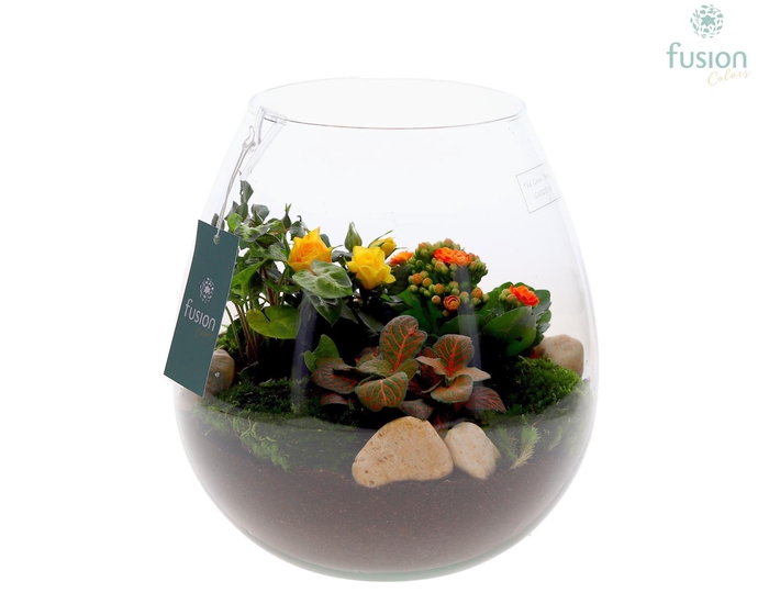 <h4>Green Bottle Abby Large met arrangement</h4>