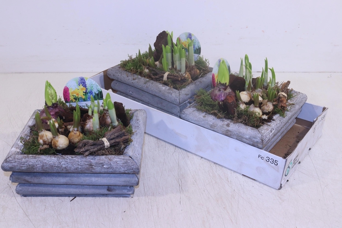 <h4>ARR BOL KNOLGEWAS</h4>