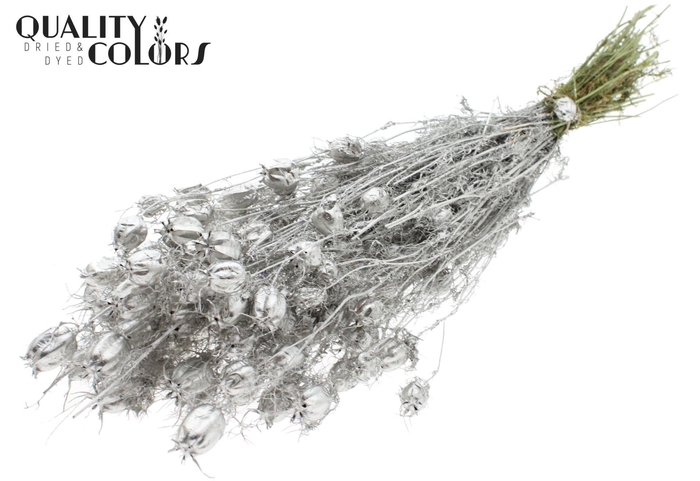 <h4>Droogbloemen   ...bewerkt H%</h4>