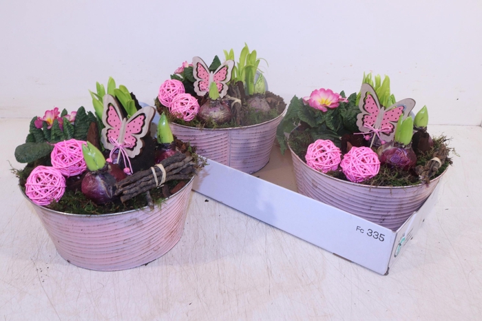 <h4>ARR TUINPLANTEN</h4>