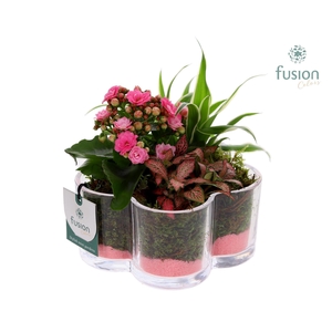 Glazen Bloemschaalmet Arrangement