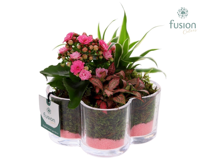 <h4>Glazen Bloemschaalmet Arrangement</h4>