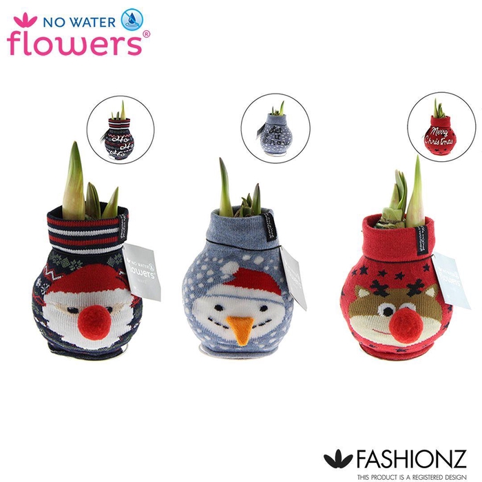 <h4>No Water Flowers® Fashionz Xmas</h4>