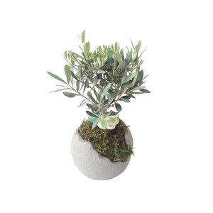 Arr.   Tuinplanten L%