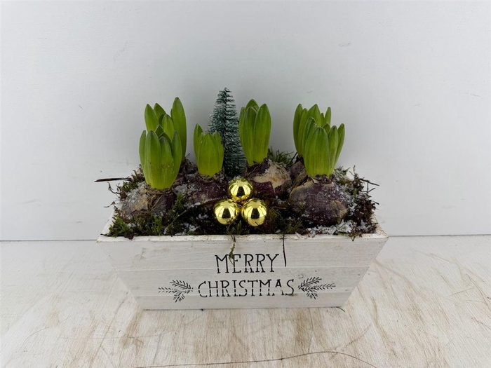 <h4>Arr (23) Hout rechth. Merry Christmas</h4>