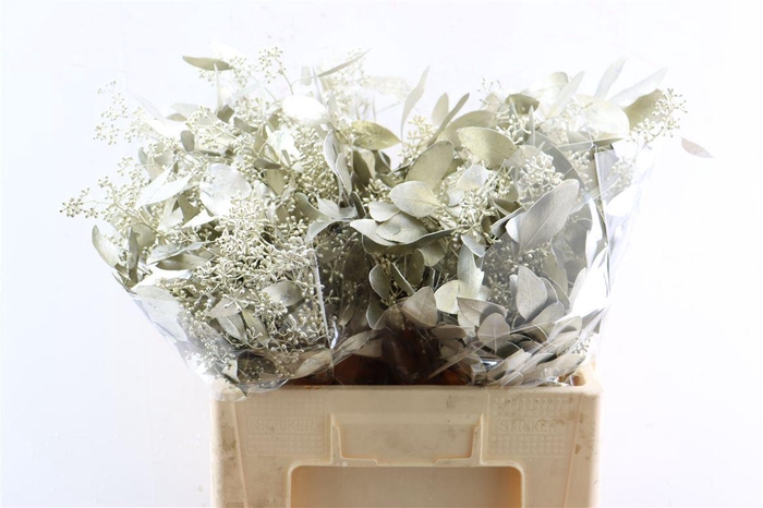 <h4>Euca Populus Berry Platina P Bunch</h4>