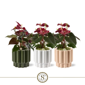 Monza Keramiek Coral