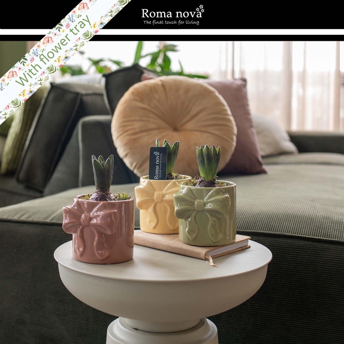 <h4>Arr. Hyacinthus L%</h4>